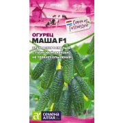 ОГУРЕЦ Галина F1 «Семена Алтая»