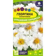 ГВОЗДИКА Гренадин Малиновая Рябь «Семена Алтая»