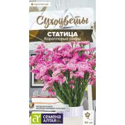 СТАТИЦА Коралловые рифы, Семена Алтая