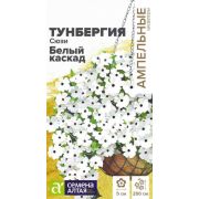 Тунбергия Сюзи, белый каскад, Семена Алтая