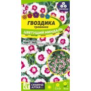 ГВОЗДИКА Ночной костер «Семена Алтая»