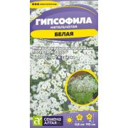 ГИПСОФИЛА метельчатая Белая,Семена Алтая