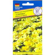 Бархатцы Алюмиа Ванилла Крем Престиж