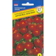 Бархатцы Брокейд Красные отклоненные Престиж