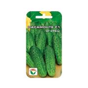 ОГУРЕЦ Пасамонте F1 «СибСад»5шт