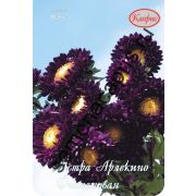 АСТРА Арлекино фиолетовая, Каприс