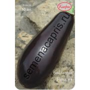 БАКЛАЖАН  Рома F1 Каприс