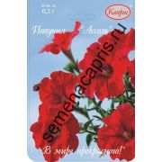 ПЕТУНИЯ Ассоль, Каприс