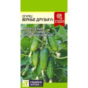ОГУРЕЦ  Верные друзья F1 Семена Алтая