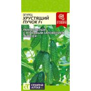 ОГУРЕЦ Хрустящий пучок F1 Семена Алтая