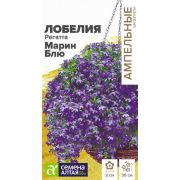 ЛОБЕЛИЯ Реггата Марин Блю «Семена алтая»