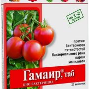 Гамаир 20 таб