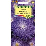 АСТРА Боретто Гавриш