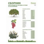Газета- инструкция по посадке  растений
