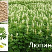 Люпин 0,5кг