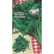 ПЕТРУШКА Листовая Богатырь Седек 2 гр