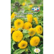 Годеция круноцветковая АЗАЛИЕЦВЕТКОВАЯ