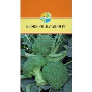 КАПУСТА брок Батавия F1  «Bejo Zaden»
