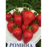 Ромина (0,2л) весна 26