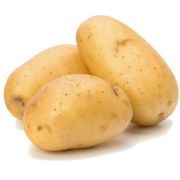 Картофель Богатырь МЕРИСТЕМА ( 1 клубень)